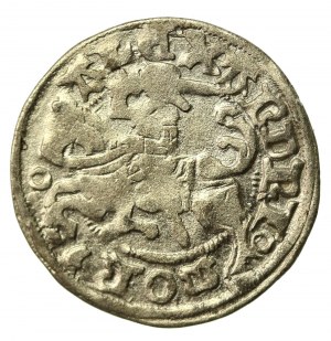Alexander Jagellonský, půlpenny, Vilnius - gotika (861)