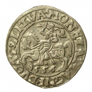 Sigismund II Augustus, Half-penny 1556 Vilnius, L/LITVA (863)