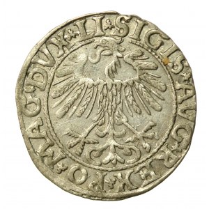 Sigismondo II Augusto, mezzo penny 1557, Vilnius. LI/LITVA (865)