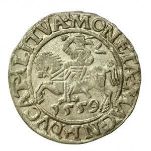 Sigismondo II Augusto, mezzo penny 1559, Vilnius - L/LITVA (867)