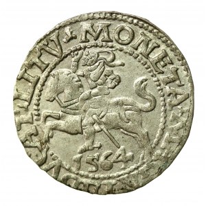 Zikmund II August, půlgroše 1564, Vilnius - L/LITV (869)