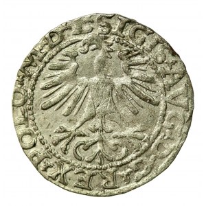 Zikmund II August, půlgroše 1564, Vilnius - L/LITV (869)