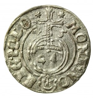 Zikmund III Vasa, Półtorak 1625, Bydgoszcz - Sas v ozdobném štítu (873)