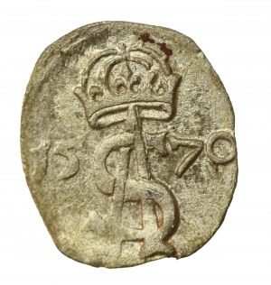 Zygmunt II August, Dwudenar 1570, Wilno (884)