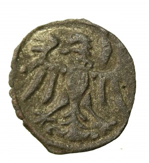 Sigismund II Augustus, Denarius 1549, Gdansk (887)