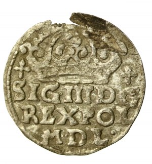 Zikmund III Vasa, Grosz 1624, Krakov (888)