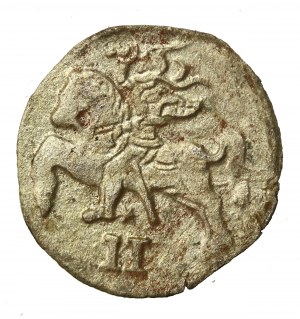 Zikmund II August, dwudenar 1569, Vilnius (891)