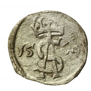 Zygmunt II August, dwudenar 1569, Wilno (895)