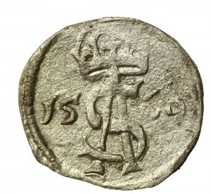 Zikmund II August, dwudenar 1569, Vilnius (895)