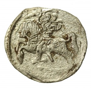 Zikmund II August, dwudenar 1569, Vilnius (895)