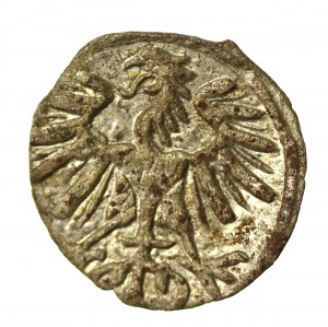 Sigismund II Augustus, Denarius 1554, Vilnius (899)