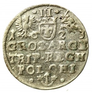 Sigismund III Vasa, Trojak 1623, Krakow - SIGIS (918)