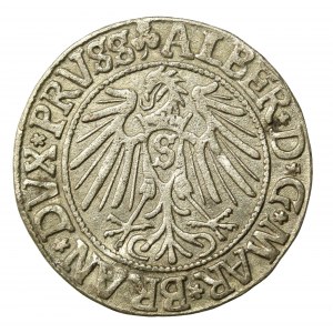 Prusy Książęce, Albrecht Hohenzollern, Grosz 1541, Królewiec (945)