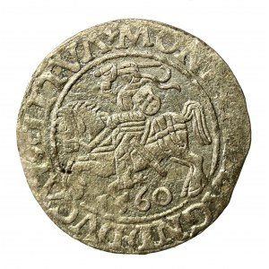 Zikmund II Augustus, půlgroš 1560, Vilnius - LI/LITV. A bez pruhu na aw (1006)