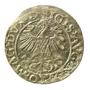 Zikmund II Augustus, půlgroš 1560, Vilnius - LI/LITV. A bez pruhu na aw (1006)