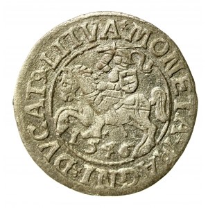 Sigismund II Augustus, Half-penny Vilnius 1546 - LI/LITV (1008)