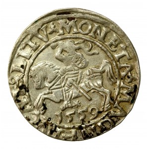 Zikmund II August, půlpenny 1559, Vilnius - L/LITV (437)