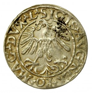 Zikmund II August, půlpenny 1559, Vilnius - L/LITV (437)