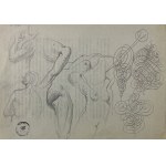Franciszek STAROWIEYSKI (1930 - Warsaw), Teka 10 drawings