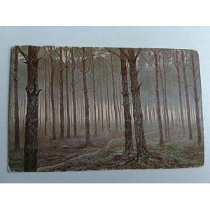 POSTCARD PAINTING POLISH RAPACKI, FOREST INTERIOR, STAMP, PRE-WAR