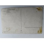 CARTOLINA POLACCA PITTURA WRZESZCZ, APIARIO, ARNIE, APE, API, MIELE, CERA, ANTEGUERRA