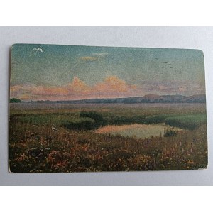 CARTOLINA POSTALE POLACCA WRZESZCZ LAGO SU UN PRATO, ANTEGUERRA, CICOGNA