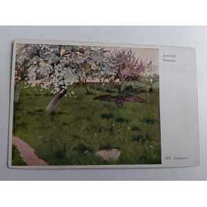 POSTKARTE MALEREI POLNISCH TETMAJER, FALKE, VORKRIEGSZEIT