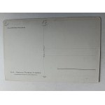 POSTKARTE MALEREI POLNISCH TETMAJER, FALKE, VORKRIEGSZEIT