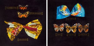 Malwina JACHIMCZAK (ur. 1983), Aurum Sanguineum i Irides Mortiferum, dyptyk, z cyklu: 