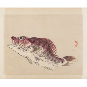 Kōno Bairei (1844-1895), published by Yamada Shinzaburo, Fish kasago, Kyoto, 1913.