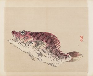 Kōno Bairei (1844-1895), wyd. Yamada Shinzaburo, Ryba kasago, Kioto, 1913 r.