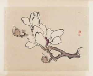 Kōno Bairei (1844-1895), wyd. Yamada Shinzaburo, Kwiat magnolii, Kioto, 1913 r.