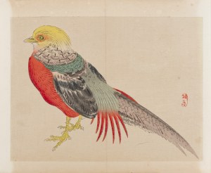 Kōno Bairei (1844-1895), wyd. Yamada Shinzaburo, Bażant złocisty, Kioto, 1913 r.