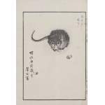 Kikuchi Hobun (1862-1918), Szczurek, Kioto, 1890 r.