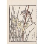 Kikuchi Hobun (1862-1918), Ptak i irysy, Kioto, 1890