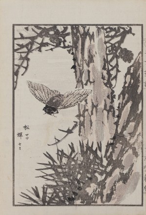 Kikuchi Hobun (1862-1918), Owad, Kioto, 1890