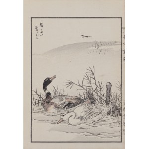 Kikuchi Hobun (1862-1918), Para kaczek i ważka, Kioto, 1890
