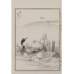 Kikuchi Hobun (1862-1918), Para kaczek i ważka, Kioto, 1890