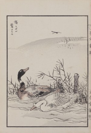 Kikuchi Hobun