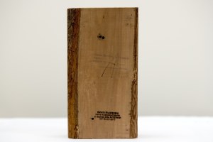 Andrzej Szewczyk ( 1950 - 2001 ), obiekt z cyklu - Diariusze, l. 80 XX w.