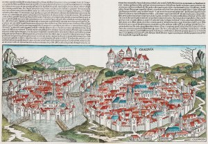 Schedel Hartmann