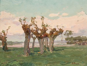 Iwan Trusz (1869 - 1940), 