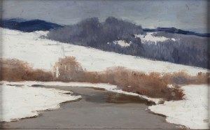 Bronisława Rychter-Janowska (1868 - 1953), 