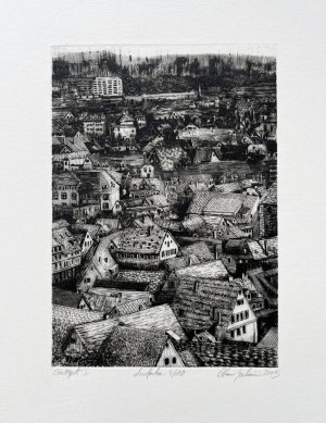Oskar Gorzkiewicz, Stuttgart I, 2013
