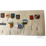 PRL - Przypinki z Herbami Miast: Bielsko, Malbork, Bydgoszcz, Ustka, Wrocław i Inne