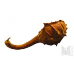 Playing Pumpkin - Dried Vegetable Rattle.