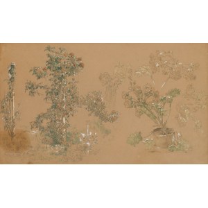 Władysław Malecki (1836 Masłów - 1900 Szydłowiec), Study of garden flowers, 1886