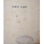 SIENKIEWICZ HENRYK Dwie łąki [wydanie I Kraków 1908 r.]