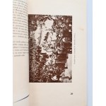 POCHÓD NA WAWEL. PAMIĄTKA Z POGRZEBU JULIUSZA SŁOWACKIEGO (14-28 czerwca 1927 r.) WIŚNIOWSKI Józef [opr.]