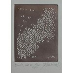 Jolanta Rudzka-Habisiak, Birds, choco i Passo, choco (2011)